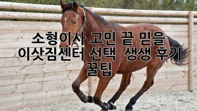 📦 소형이사 고민 끝! 믿을 🚛 이삿짐센터 선택 & 생생 후기 꿀팁 🍯